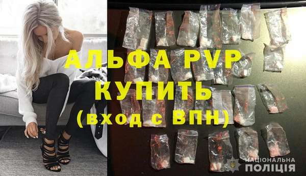 гашиш Богданович