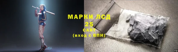 ПСИЛОЦИБИНОВЫЕ ГРИБЫ Белокуриха
