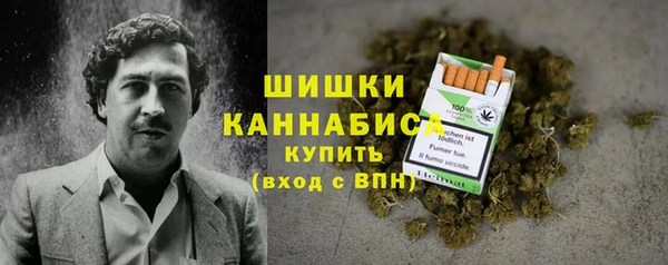 гашиш Богданович
