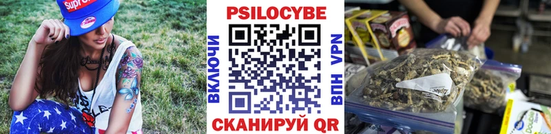 Псилоцибиновые грибы мицелий  Шимановск 