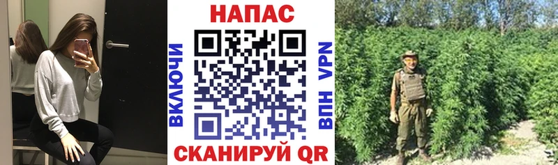 Шишки марихуана LSD WEED  kraken ONION  Шимановск 